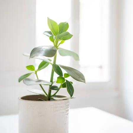 22 - Serein - Lumineux -