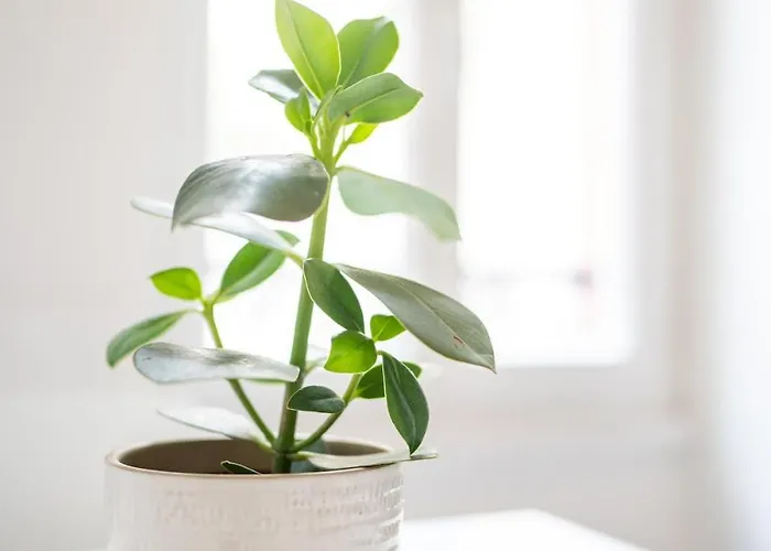 22 - Unesco - Serein - Lumineux -